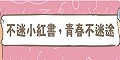 不迷小紅書